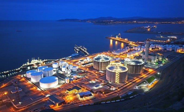 ますます需要が高まっているJIIPE東ジャワ工業地帯は、投資家にどのような施設を提供していますか？