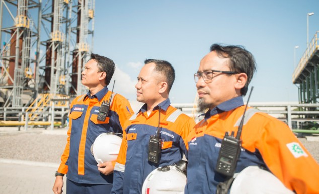 Ramah Lingkungan, Ini Upaya Kawasan Industri Jawa Timur JIIPE untuk Mewujudkannya