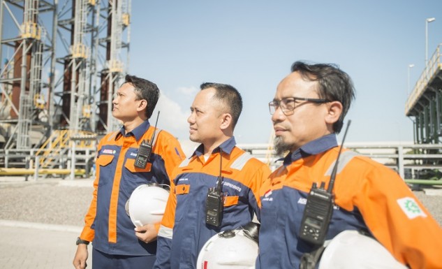 東ジャワ工業地帯のグリーンコミットメントJIIPE、その証拠は？